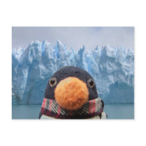 Wabbles Post Cards
