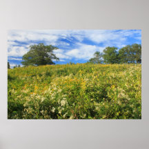 Wachusett Meadow Wildflower Meadow Late Summer Poster