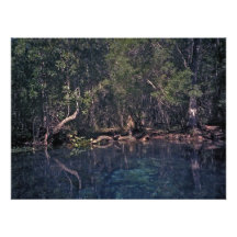 Wacissa Springs. Jefferson County, Fl. Photo Print