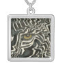 Wacky Zebra Eye Necklace
