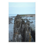 Waddenzee Foto