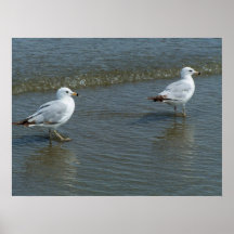 Waders Posters