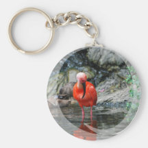 Wading Ibis Keychain