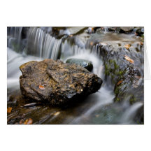 Wagner Falls Detail Cards