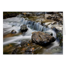 Wagner Falls Details Card