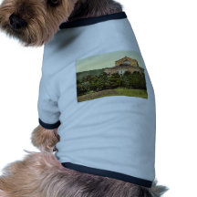 Wagner's theatre (i.e. Festspielhaus), Bayreuth, B Doggie Tshirt