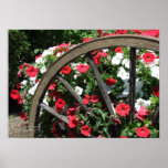 Wagon Wheel and Flowers Posters
