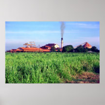 Waialua Sugar Mill 1996 Print