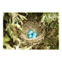 Waiting Eggs Photo Print