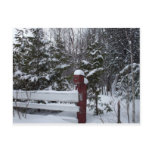 Waiting for Christmas-Bird House Postcards