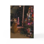 Waiting For Santa Cards