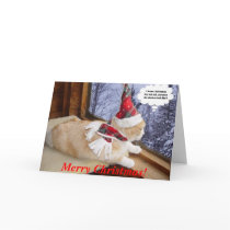 Waiting for Santa