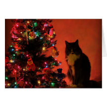 Waiting for Santa Cards