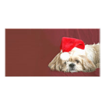 Waiting for Santa Photo Card Template