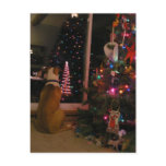 Waiting For Santa Postcard
