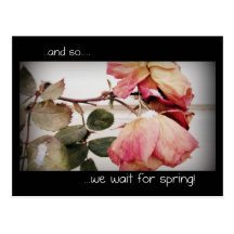 Waiting for Spring Post Card