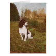 Waiting in the woods greeting cards