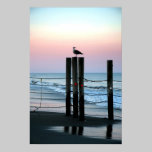 Waiting On Sunset posters