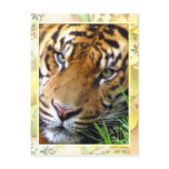 Waiting on you/Missing you_ Post Cards