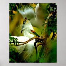 Waiting Print