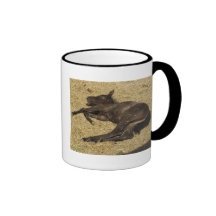 Wake me at meal-time! coffee mug