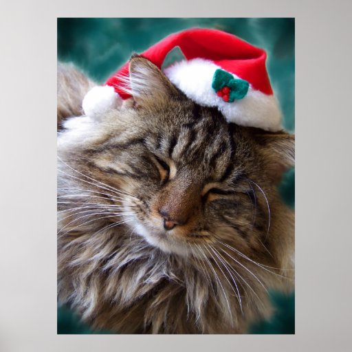 Wake Me Up Santa Cat Fine Art Print