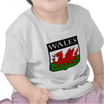 Wales Tee Shirts
