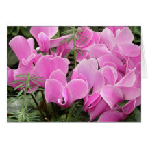 Walk In The Park Floral Greeting Note Card