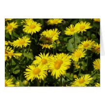 Walk In The Park Floral Greeting Note Card