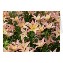 Walk In The Park Floral Greeting Note Card