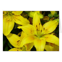 Walk In The Park Floral Greeting Note Card