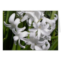 Walk In The Park Floral Greeting Note Card