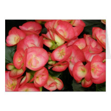 Walk In The Park Floral Greeting Note Card