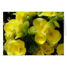 Walk In The Park Floral Greeting Note Card
