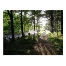 "Walk Near the River" Northumberland Post Card