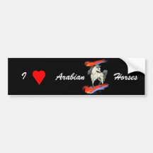 Walk on Fire Arabian Horse Bumper Sticker