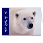 Walk on the Wild Side - Polar Bear Greeting Cards