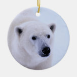 Walk on the Wild Side - Polar Bear Christmas Tree Ornament