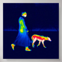 walk the dog poster