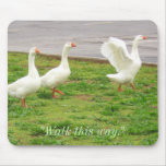 "Walk This Way" (Geese) Mousepads