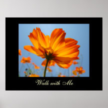 Walk with Me art prints Orange Daisy Flowers