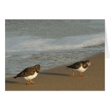walking birds greeting card