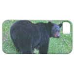 Walking Black Bear Wildlife Designer Case iPhone 5 Case