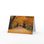 Walking Down Autumn's Memory Lane Cards