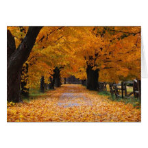 Walking Down Autumn's Memory Lane Card