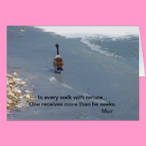 Walking Geese:Muir cards