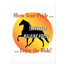 Walking Horse Pride Post Cards