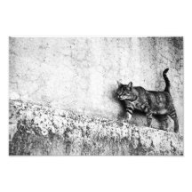 Walking on the wall - Photo Enlargement