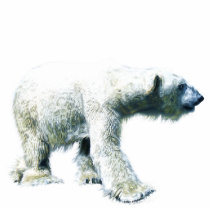 Walking POLAR BEAR (sculpted) Wildlife Magnet Photo Cut Out