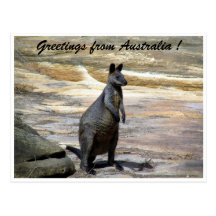 wallaby greetings postcard